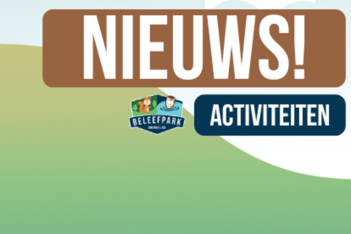 Activiteiten Kalender